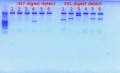 Thumbnail for version as of 17:10, 8 December 2011