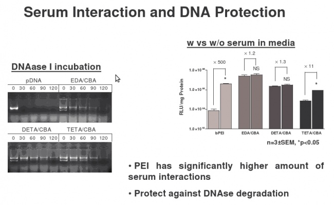 Serum interaction DNA protection.jpg