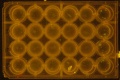 Thumbnail for version as of 17:08, 25 April 2016