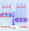 Thumbnail for version as of 09:50, 11 June 2012