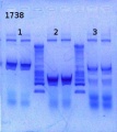 Thumbnail for version as of 14:58, 18 April 2013
