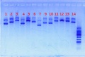 Thumbnail for version as of 12:22, 28 May 2013