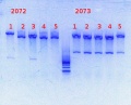 Thumbnail for version as of 15:03, 7 February 2014