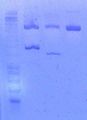 Thumbnail for version as of 12:07, 31 May 2011
