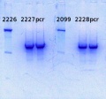 Thumbnail for version as of 15:21, 12 June 2014