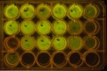 Thumbnail for version as of 12:10, 22 August 2014