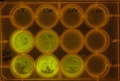 Thumbnail for version as of 14:14, 26 March 2011