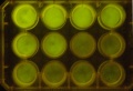Thumbnail for version as of 10:00, 1 December 2011