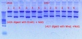 Thumbnail for version as of 14:44, 20 October 2012