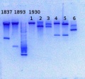 Thumbnail for version as of 11:47, 4 December 2013