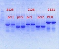 Thumbnail for version as of 16:26, 24 March 2014