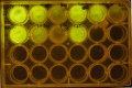 Thumbnail for version as of 16:45, 29 January 2014