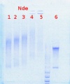 Thumbnail for version as of 09:13, 26 July 2013