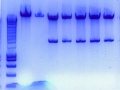 Thumbnail for version as of 14:05, 8 February 2011