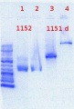 Thumbnail for version as of 12:28, 15 June 2012