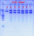 Thumbnail for version as of 15:25, 25 June 2012