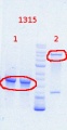 Thumbnail for version as of 13:10, 6 November 2013