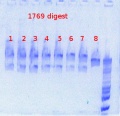 Thumbnail for version as of 15:28, 18 June 2013
