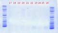 Thumbnail for version as of 10:43, 7 June 2012
