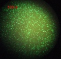 Thumbnail for version as of 14:57, 20 January 2012