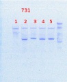 Thumbnail for version as of 10:39, 28 March 2014