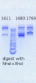 Thumbnail for version as of 15:42, 30 June 2013