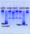 Thumbnail for version as of 12:41, 22 January 2014