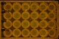 Thumbnail for version as of 13:51, 29 July 2016