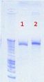 Thumbnail for version as of 14:21, 18 July 2012