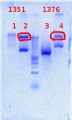 Thumbnail for version as of 09:33, 2 October 2012