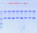Thumbnail for version as of 14:13, 10 September 2012