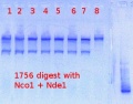 Thumbnail for version as of 22:27, 11 June 2013