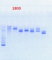Thumbnail for version as of 12:58, 25 July 2013