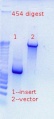Thumbnail for version as of 14:59, 18 November 2011