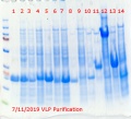 Thumbnail for version as of 14:26, 11 July 2019