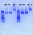 Thumbnail for version as of 15:17, 8 March 2013