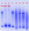 Thumbnail for version as of 23:08, 4 October 2018