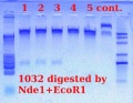 Thumbnail for version as of 15:33, 2 April 2012