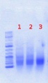 Thumbnail for version as of 11:37, 19 June 2012