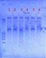 Thumbnail for version as of 16:04, 20 August 2012