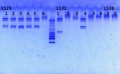 Thumbnail for version as of 16:33, 22 January 2013