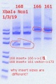 Thumbnail for version as of 20:41, 3 January 2019