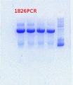 Thumbnail for version as of 12:11, 30 August 2013