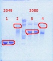 Thumbnail for version as of 13:20, 20 March 2014