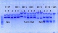 Thumbnail for version as of 11:11, 3 July 2014