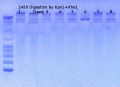 Thumbnail for version as of 16:32, 18 May 2015