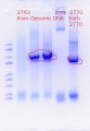 Thumbnail for version as of 18:36, 6 June 2020