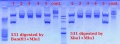 Thumbnail for version as of 13:34, 2 April 2012