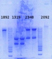 Thumbnail for version as of 12:21, 17 October 2014