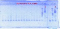Thumbnail for version as of 11:51, 7 August 2012